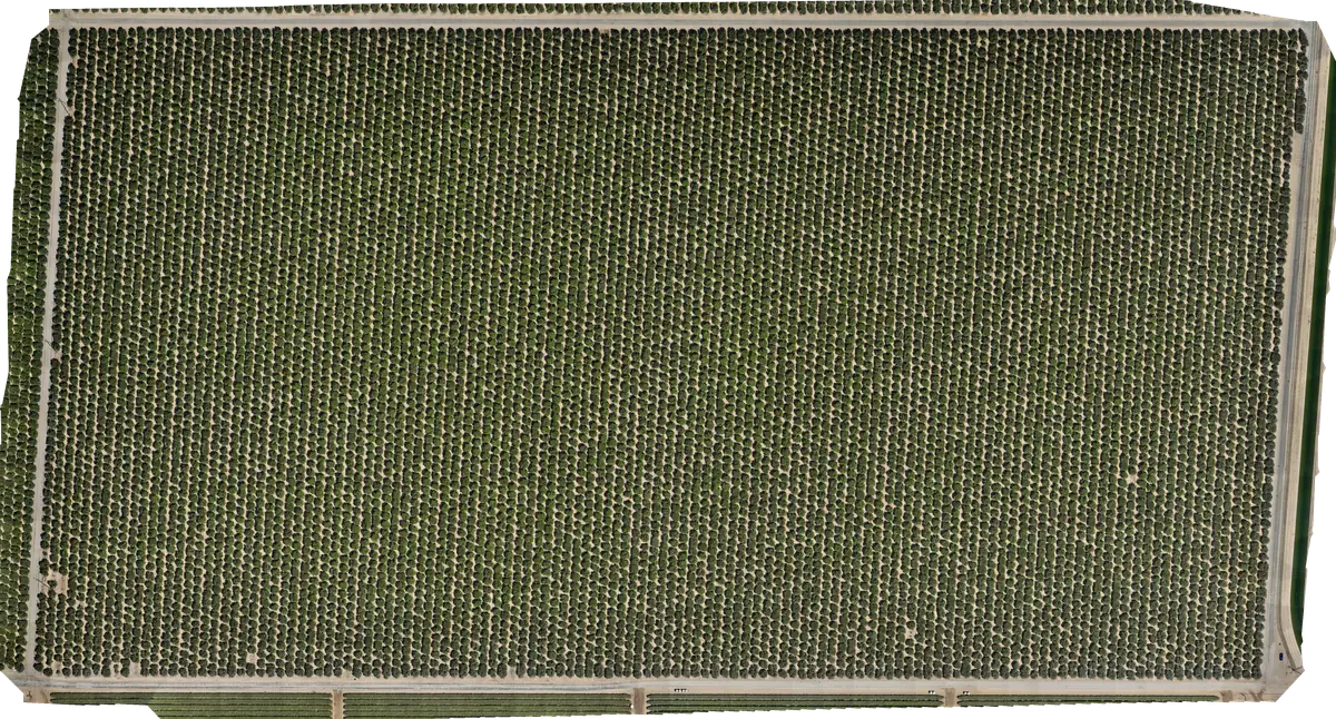 RGB: High-resolution visual field imagery